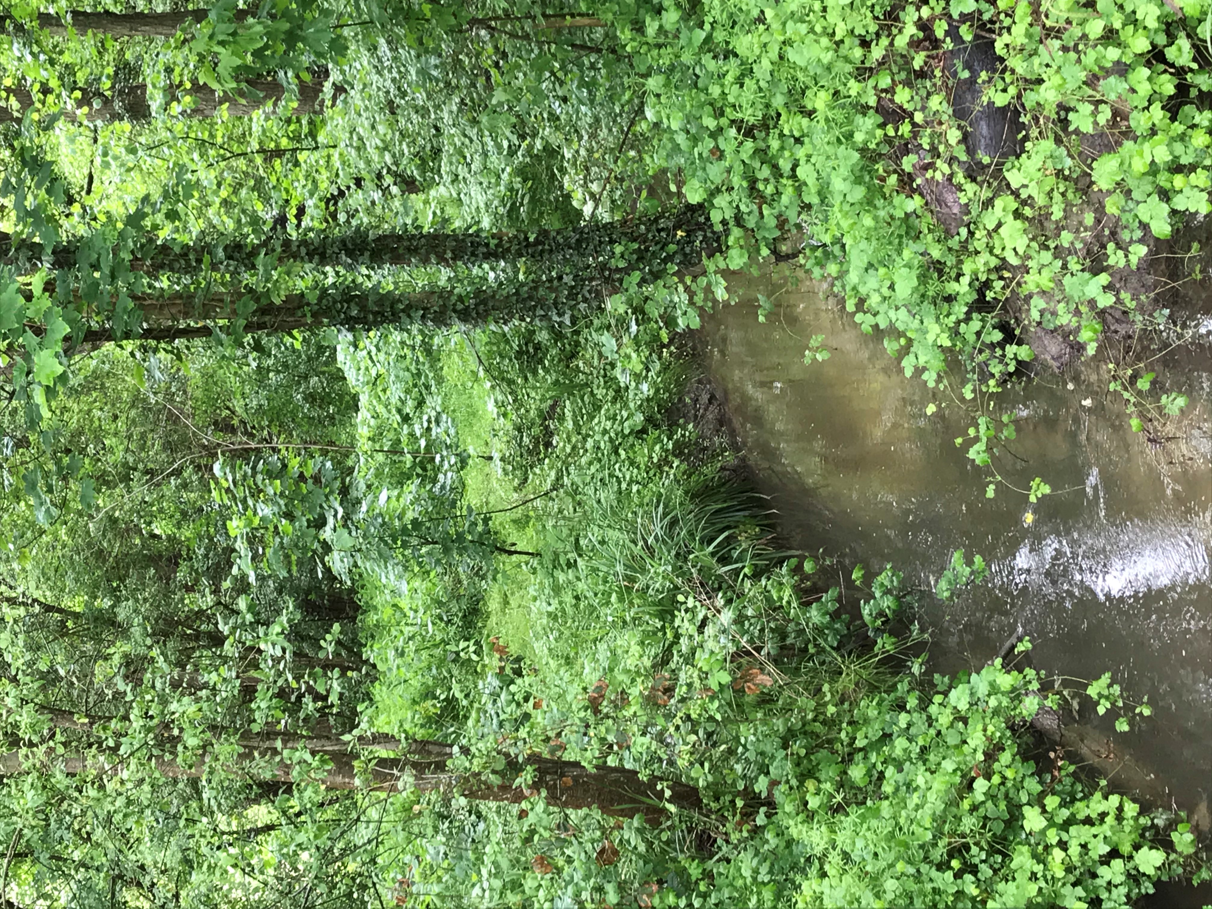 Annexes Photo portail Citoyen 3.jpg